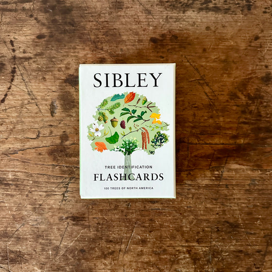 Sibley Tree ID Flash Cards
