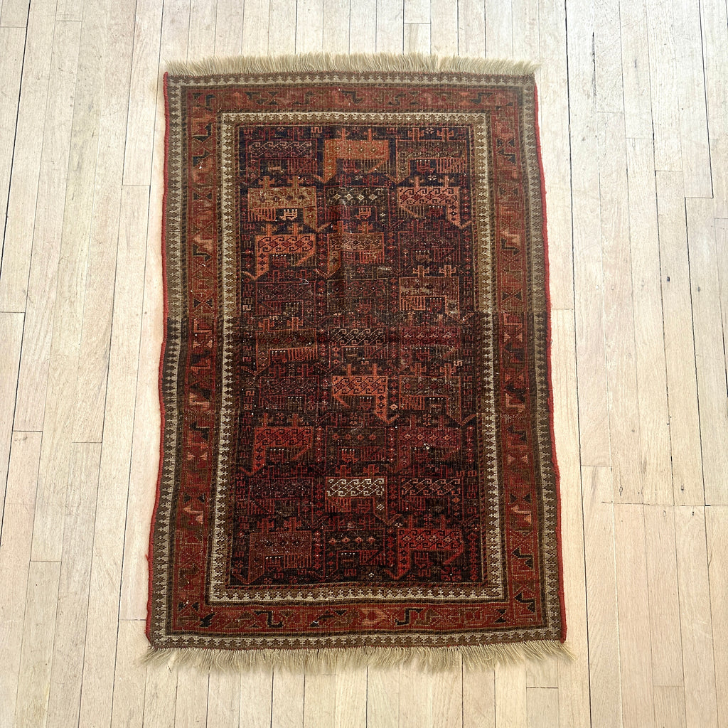 Wool Area Rug with Fringe