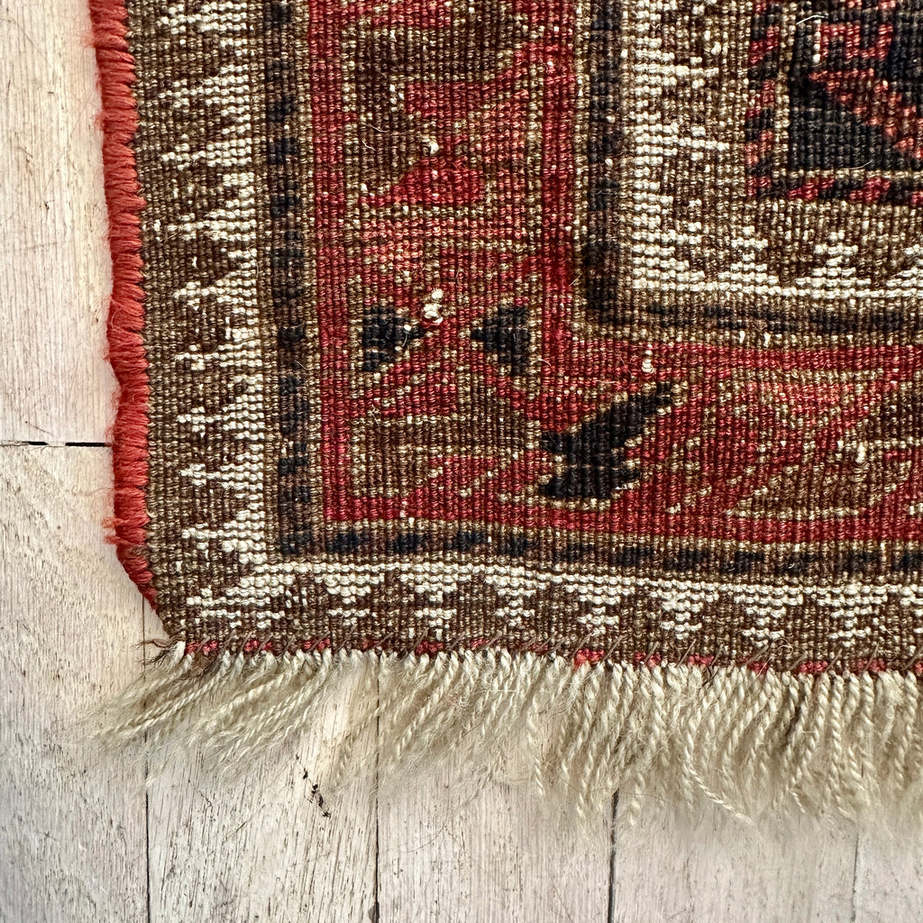 Wool Area Rug with Fringe