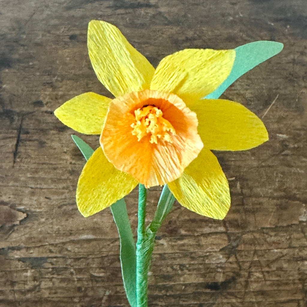 Miniature Yellow & Orange Paper Daffodil