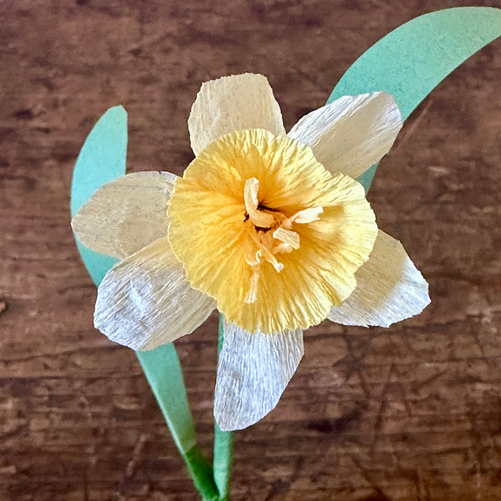 Miniature Buttercream & Yellow Paper Daffodil