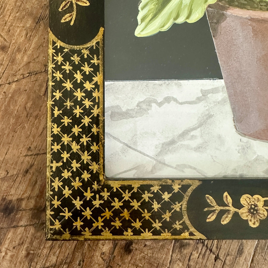 Red Auricula Plant in Bloom by William Totten