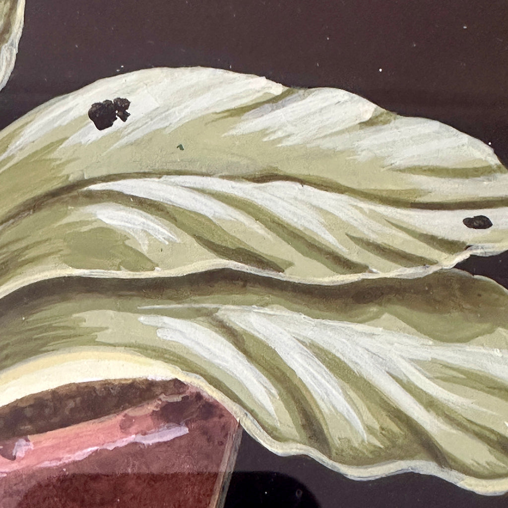 Blue Auricula Plant in Bloom by William Totten