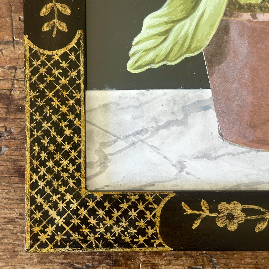 Blue Auricula Plant in Bloom by William Totten