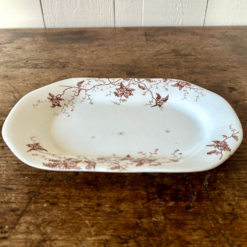 English Fern & Flower Brown Transferware Platter