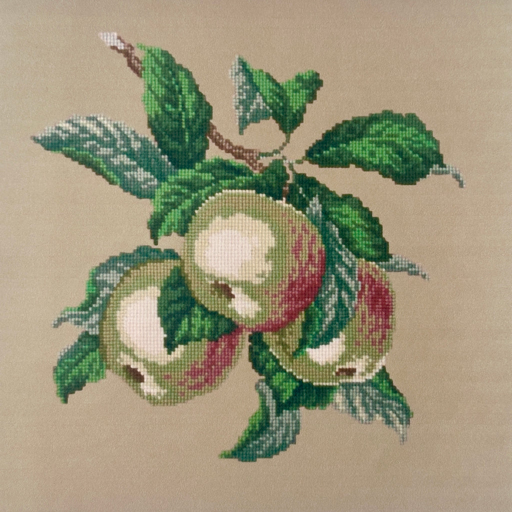 Apples Needlepoint Kit - Sand Background