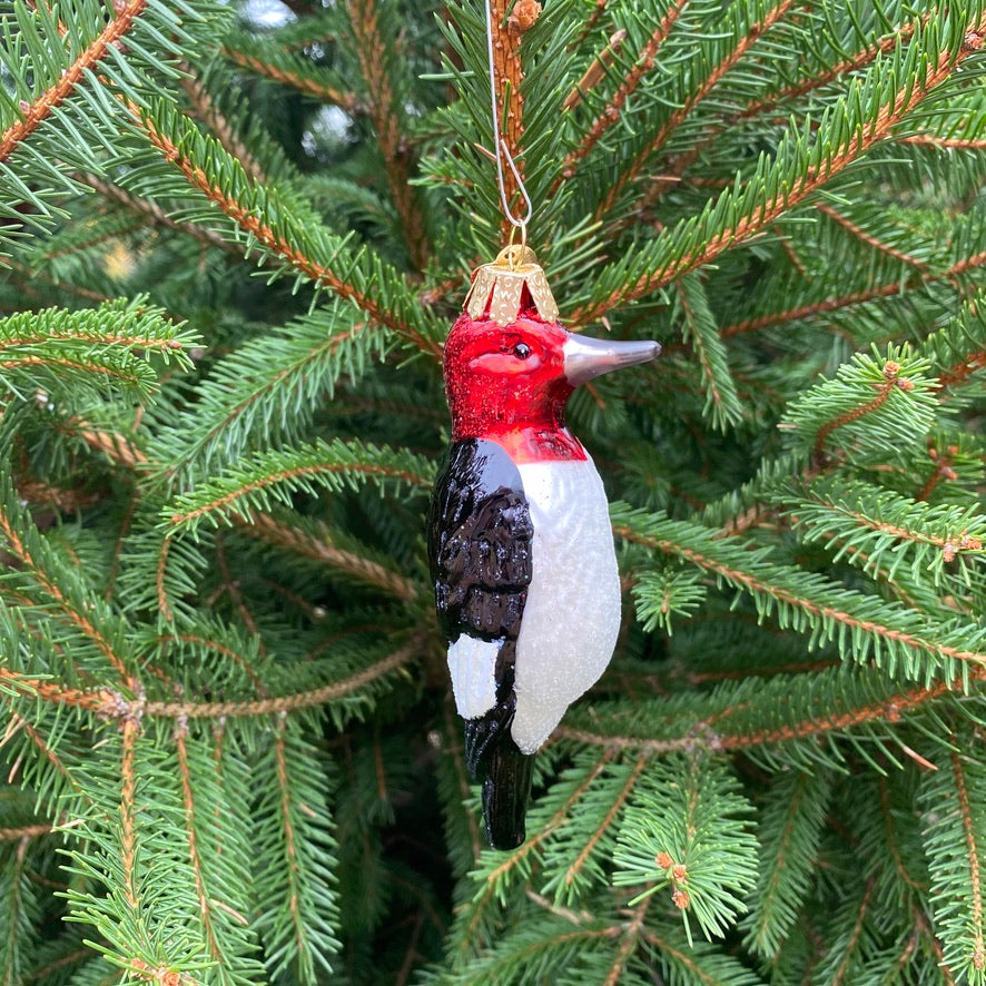 Red - Headed Woodpecker Christmas Ornament