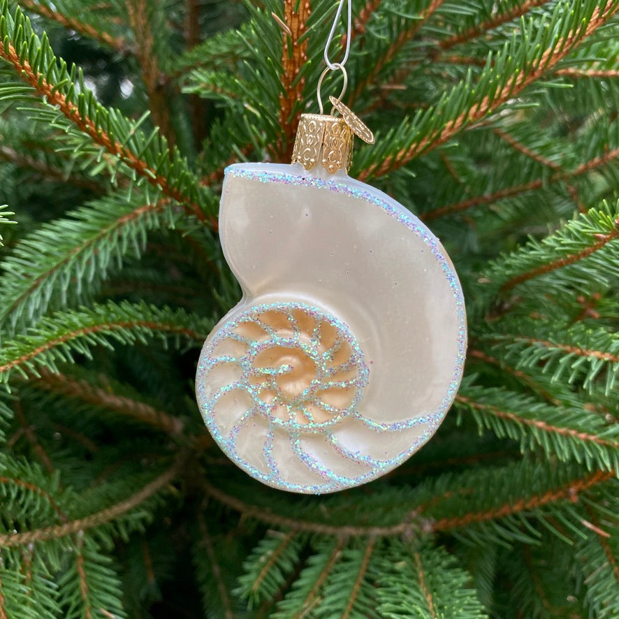 Nautilus Shell Christmas Tree Ornament