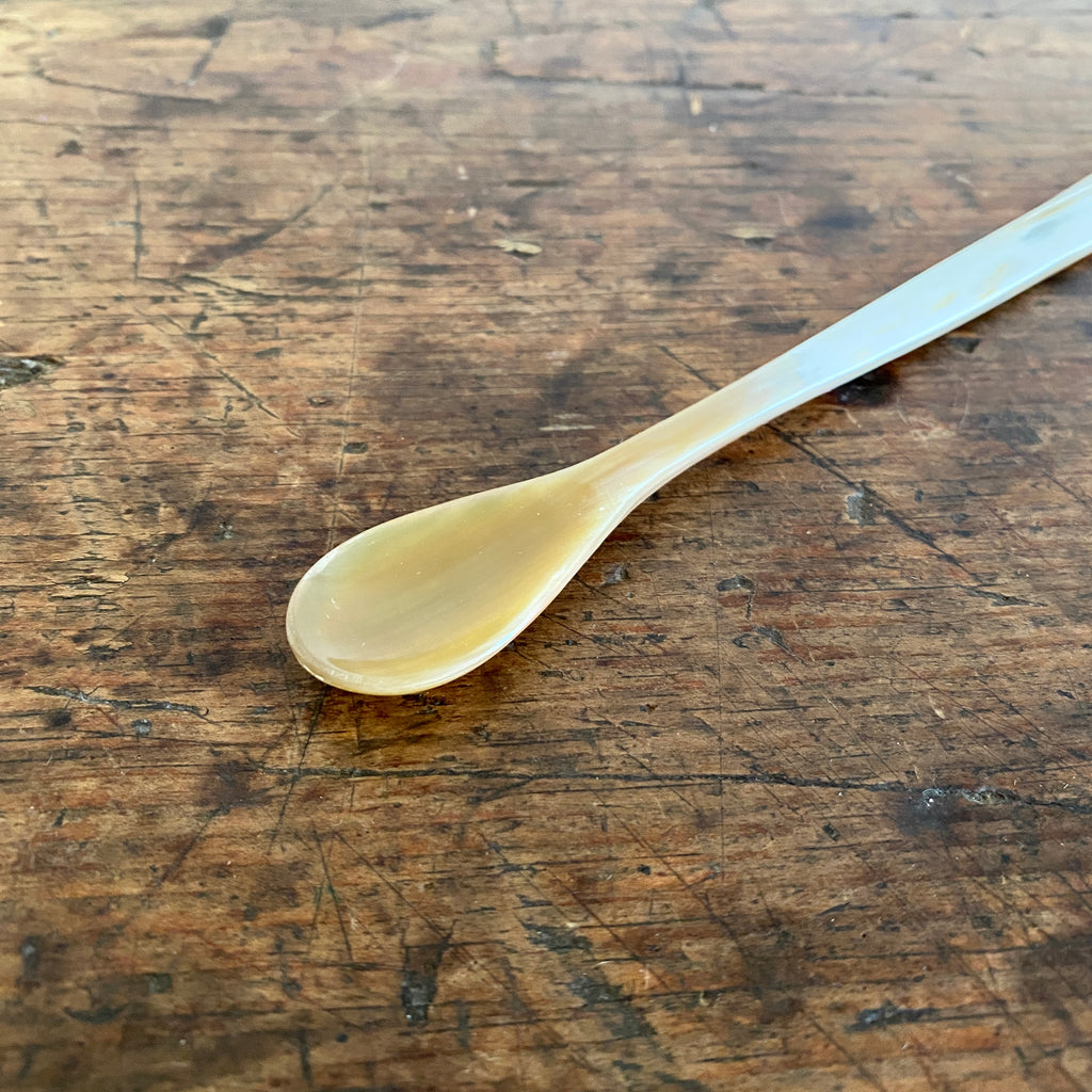 Horn French Mustard Spoon